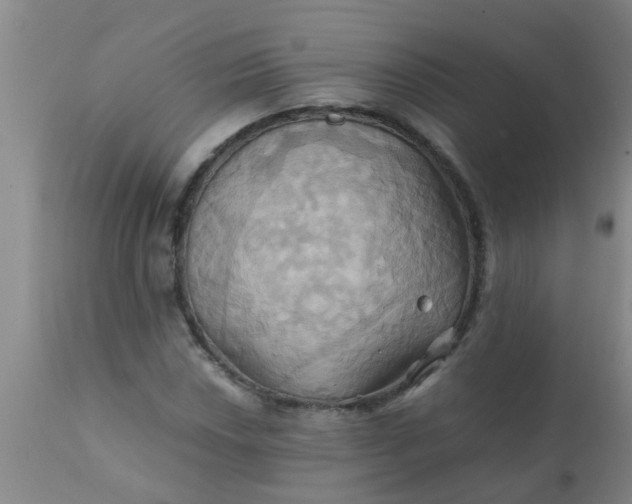 X0000110971018200907022240