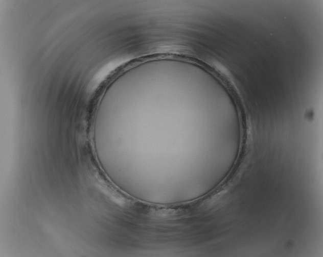 X0000110971019200907022240