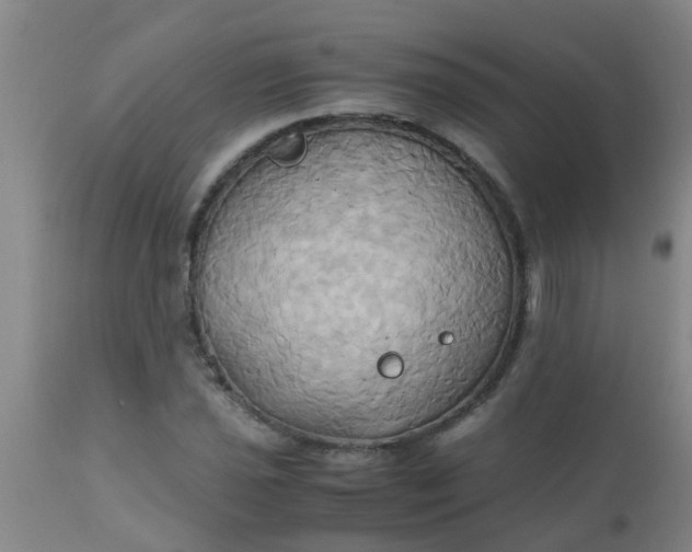 X0000110971021200907022240