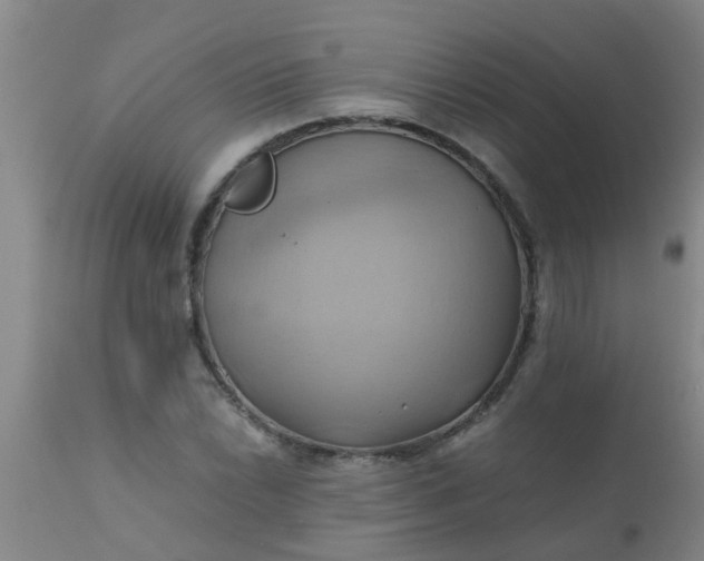 X0000110971022200907022240