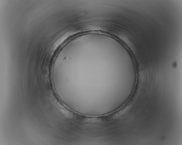 X0000110971023200907022240