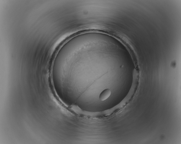 X0000110971024200907022240