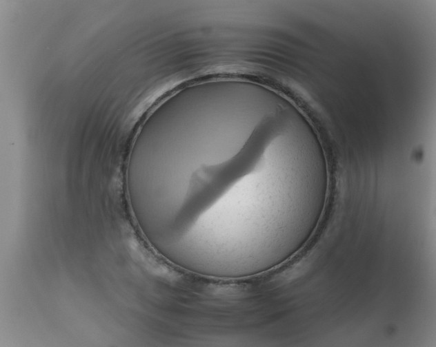 X0000110971025200907022240