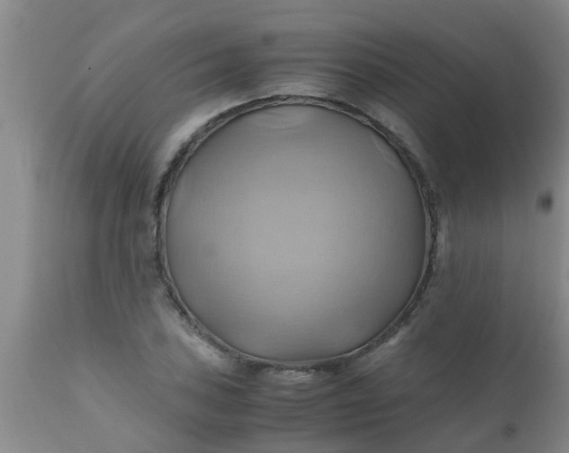 X0000110971027200907022240