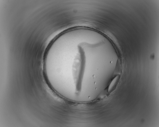 X0000110971028200907022240