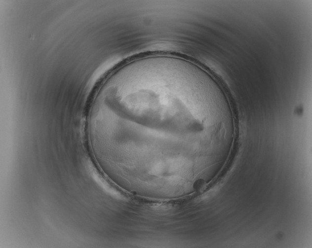 X0000110971029200907022240