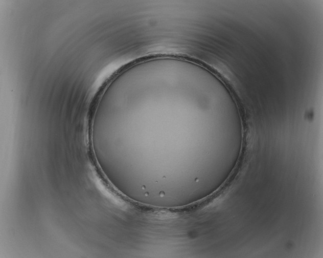 X0000110971030200907022240