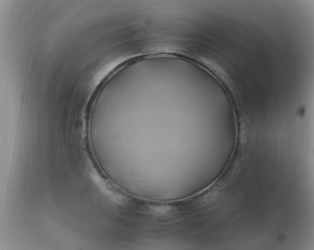 X0000110971031200907022240