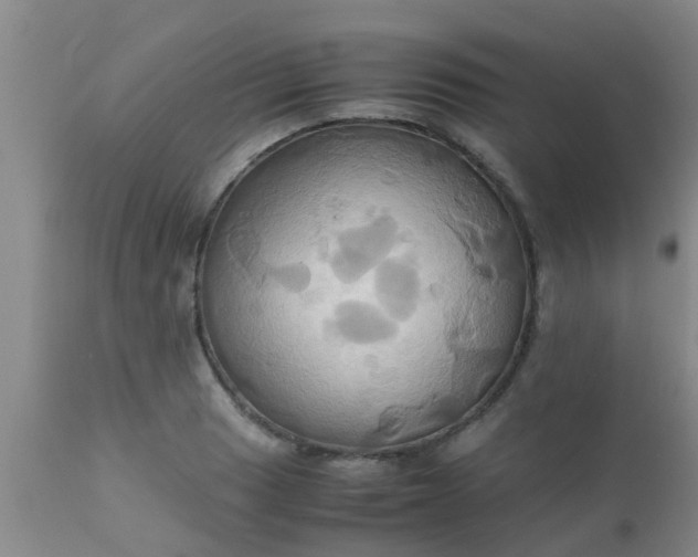 X0000110971033200907022240