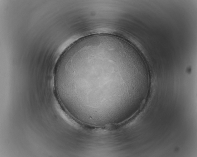 X0000110971034200907022240