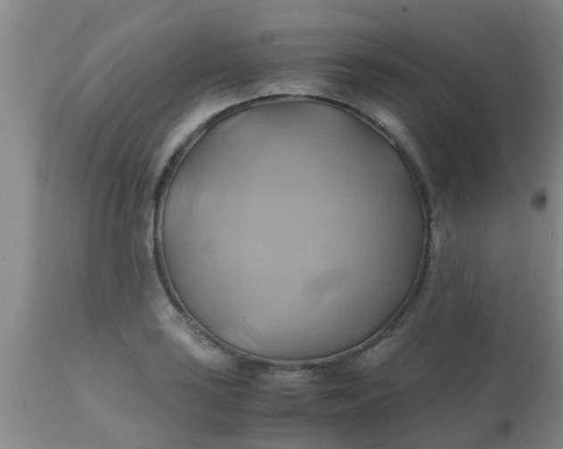 X0000110971035200907022240