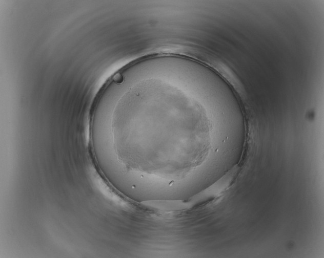 X0000110971036200907022240