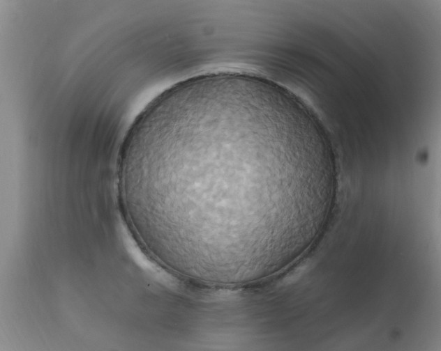 X0000110971038200907022240