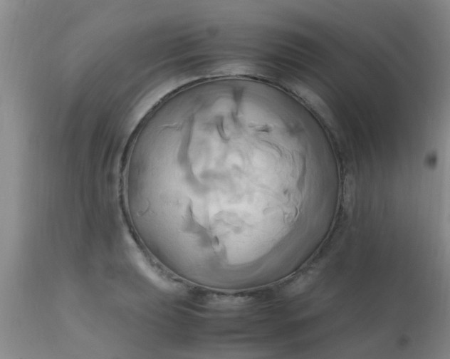 X0000110971039200907022240