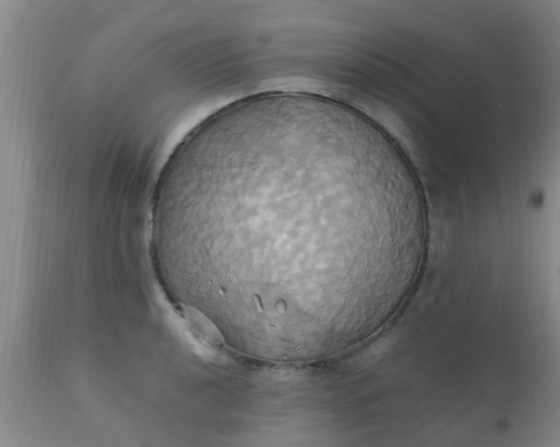 X0000110971040200907022240