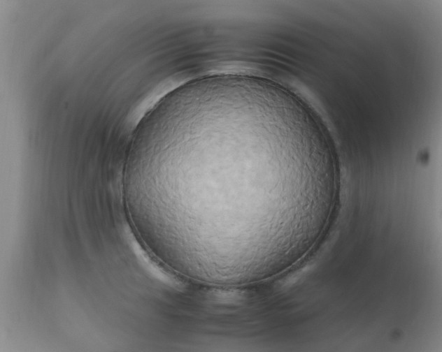 X0000110971041200907022240