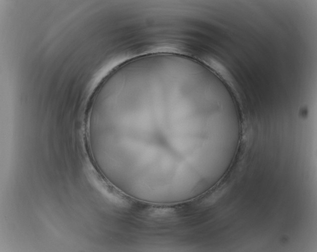 X0000110971043200907022240