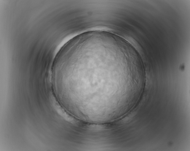 X0000110971044200907022240