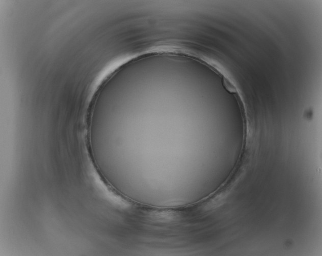 X0000110971045200907022240