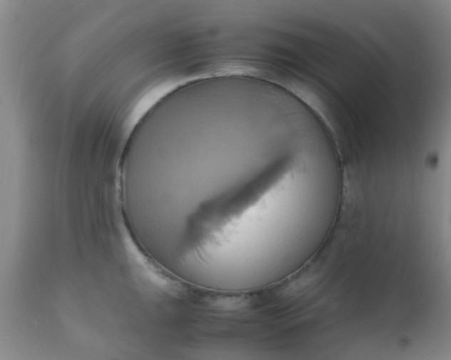 X0000110971047200907022240