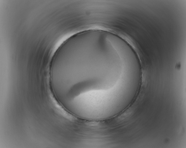 X0000110971048200907022240