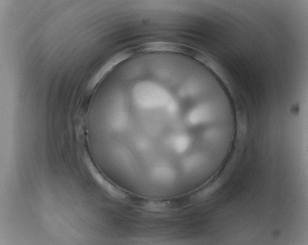 X0000110971049200907022240