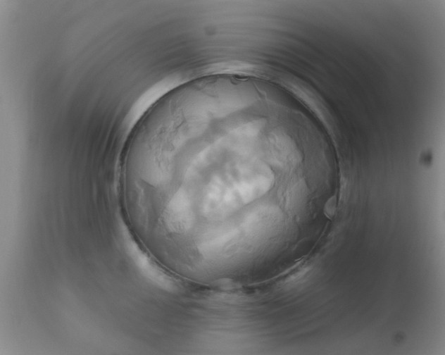 X0000110971050200907022240