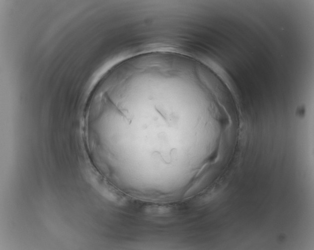 X0000110971051200907022240