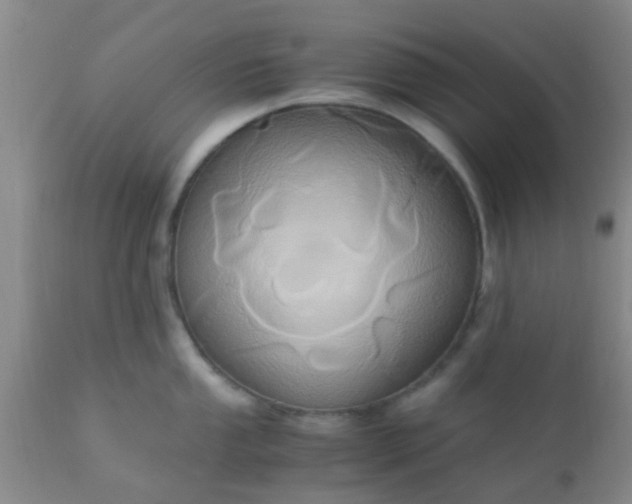 X0000110971053200907022240