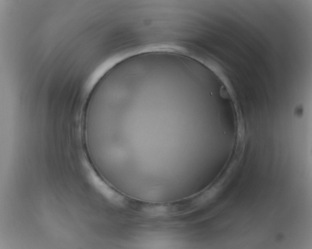 X0000110971054200907022240