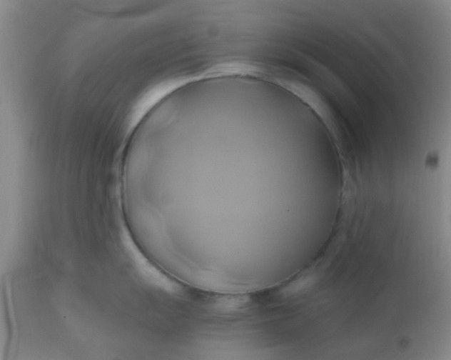 X0000110971055200907022240