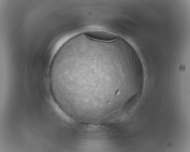 X0000110971056200907022240