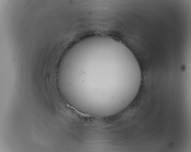 X0000110971057200907022239