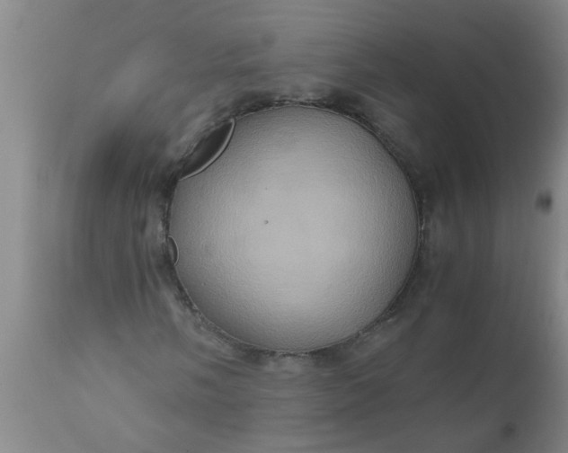 X0000110971058200907022239