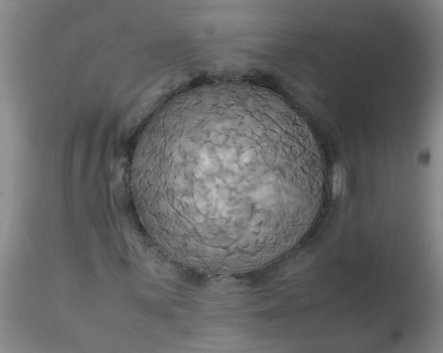 X0000110971059200907022239