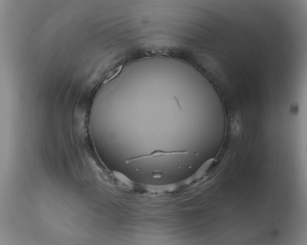 X0000110971060200907022239