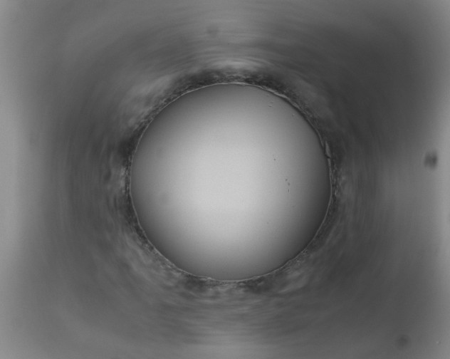 X0000110971061200907022239