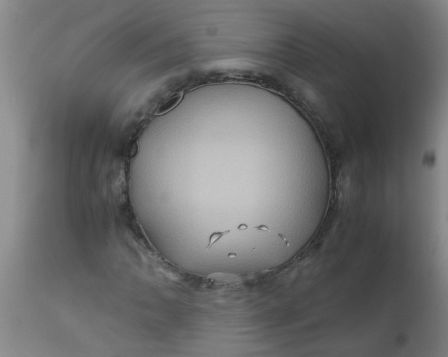 X0000110971062200907022239