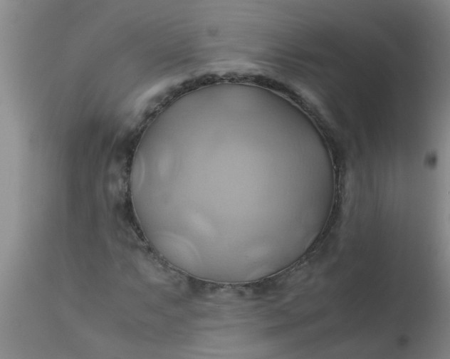 X0000110971063200907022239