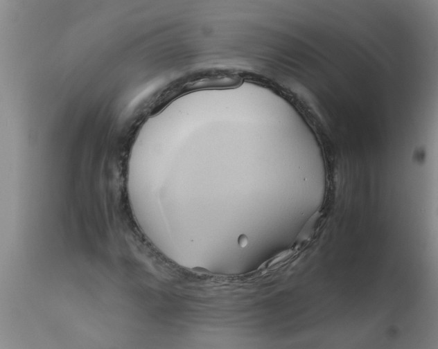 X0000110971064200907022239