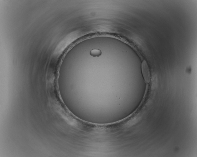 X0000110971065200907022239