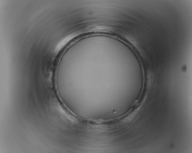 X0000110971066200907022239