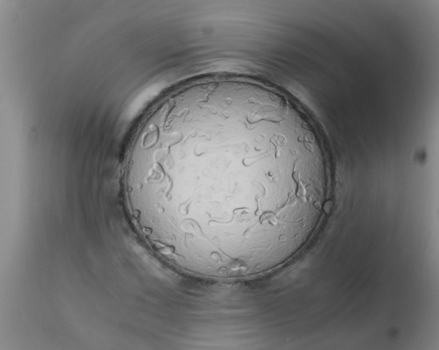 X0000110971067200907022239