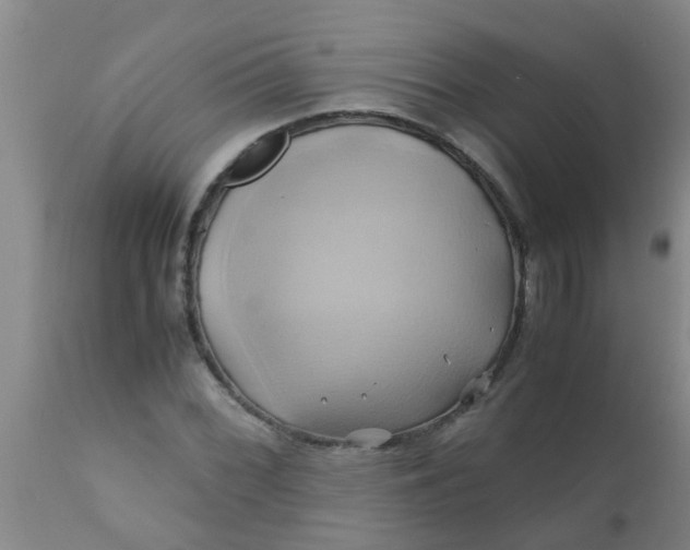 X0000110971068200907022239