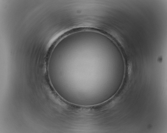 X0000110971069200907022239