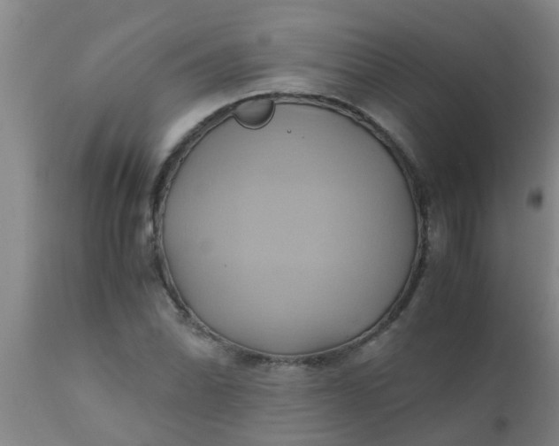 X0000110971070200907022239