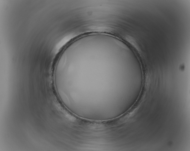 X0000110971071200907022239