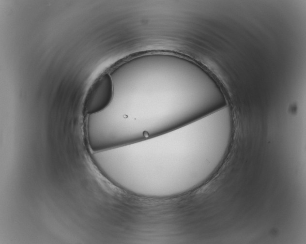 X0000110971072200907022239