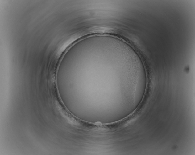 X0000110971073200907022239