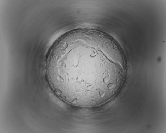 X0000110971075200907022239